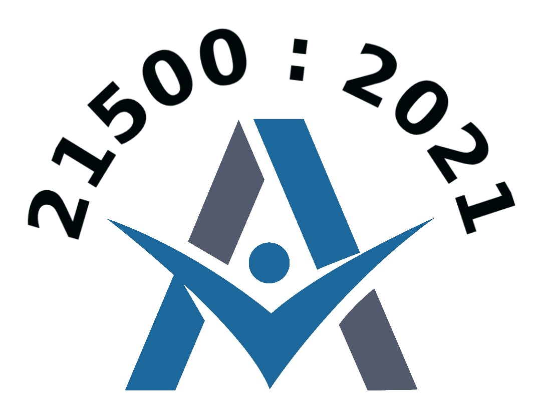 ISO 21500:2021 - Layihə, proqram və portfelin idarə edilməsi, Layihənin idarə edilməsinə dair təlimat