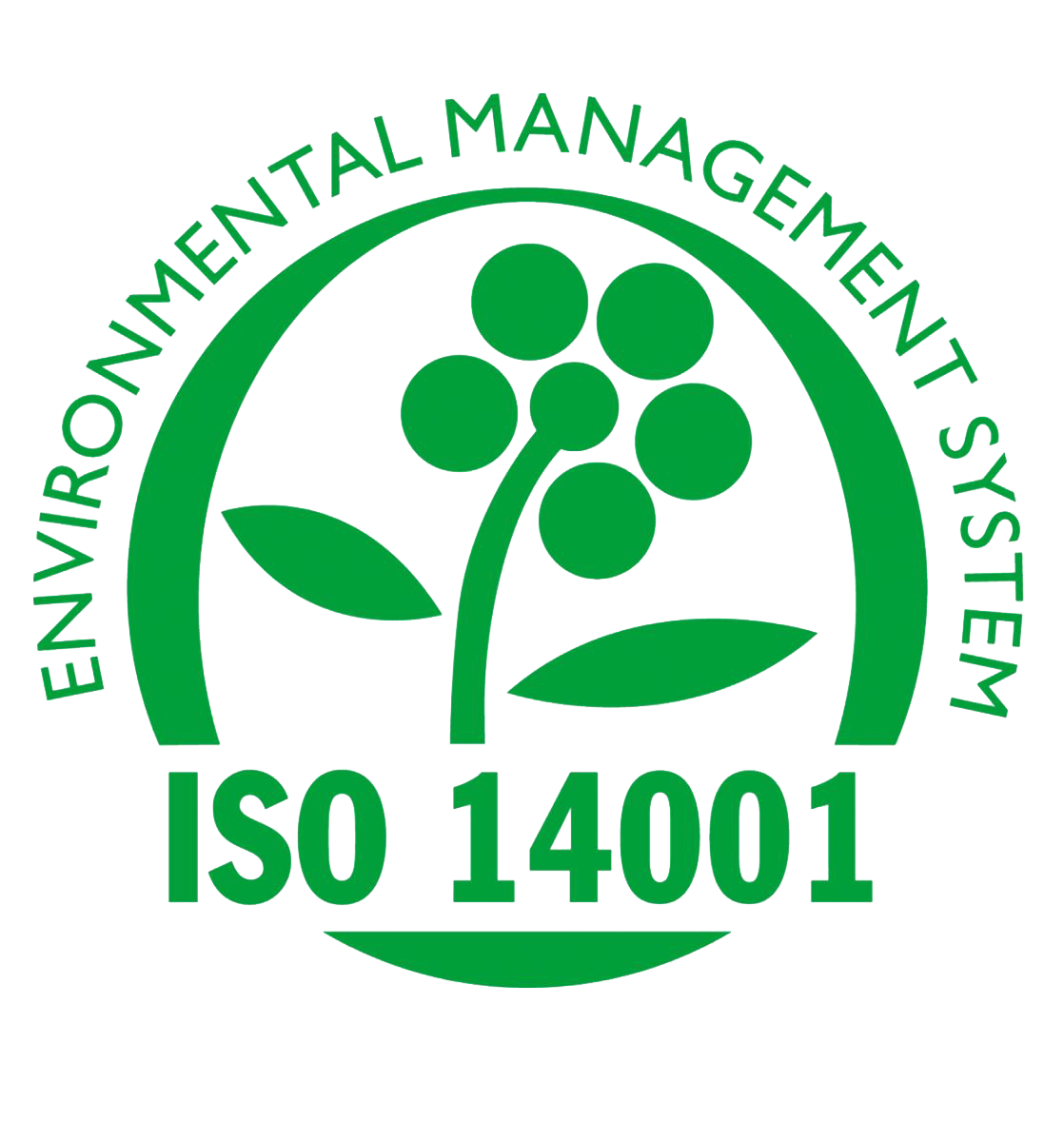 ISO 14001:2015 Ətraf mühitin idarəedilmə sistemləri